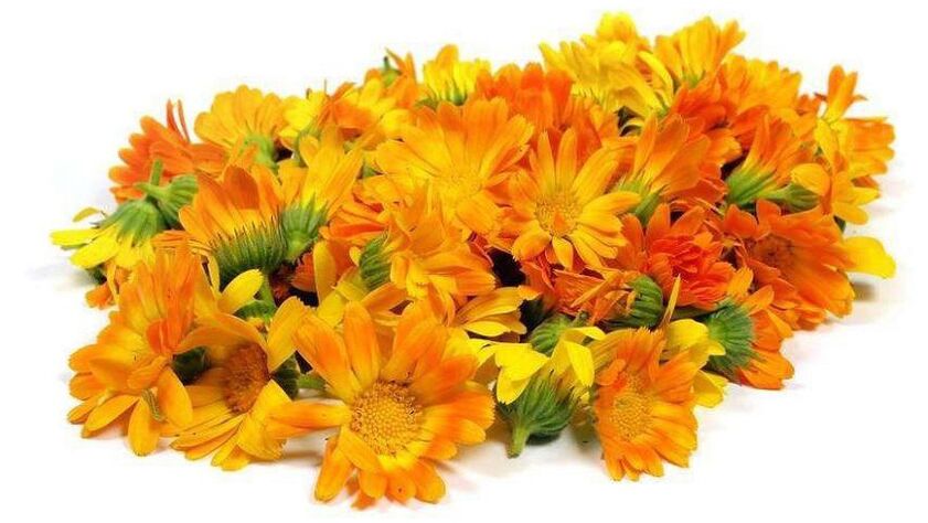 Calendula extract at ZXCVBNMQWER